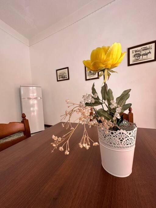 Passiu House Apartment Палермо Екстериор снимка